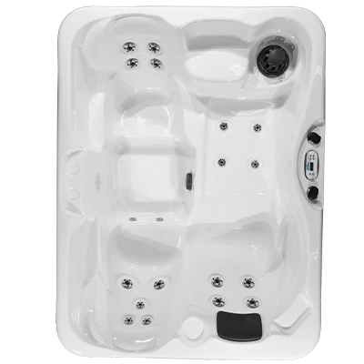 Kona PZ-519L hot tubs for sale in Tinley Park